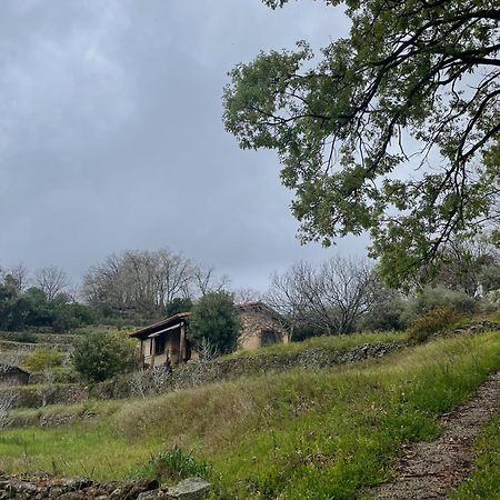 Vergel San Pedro Torremenga Esterno foto