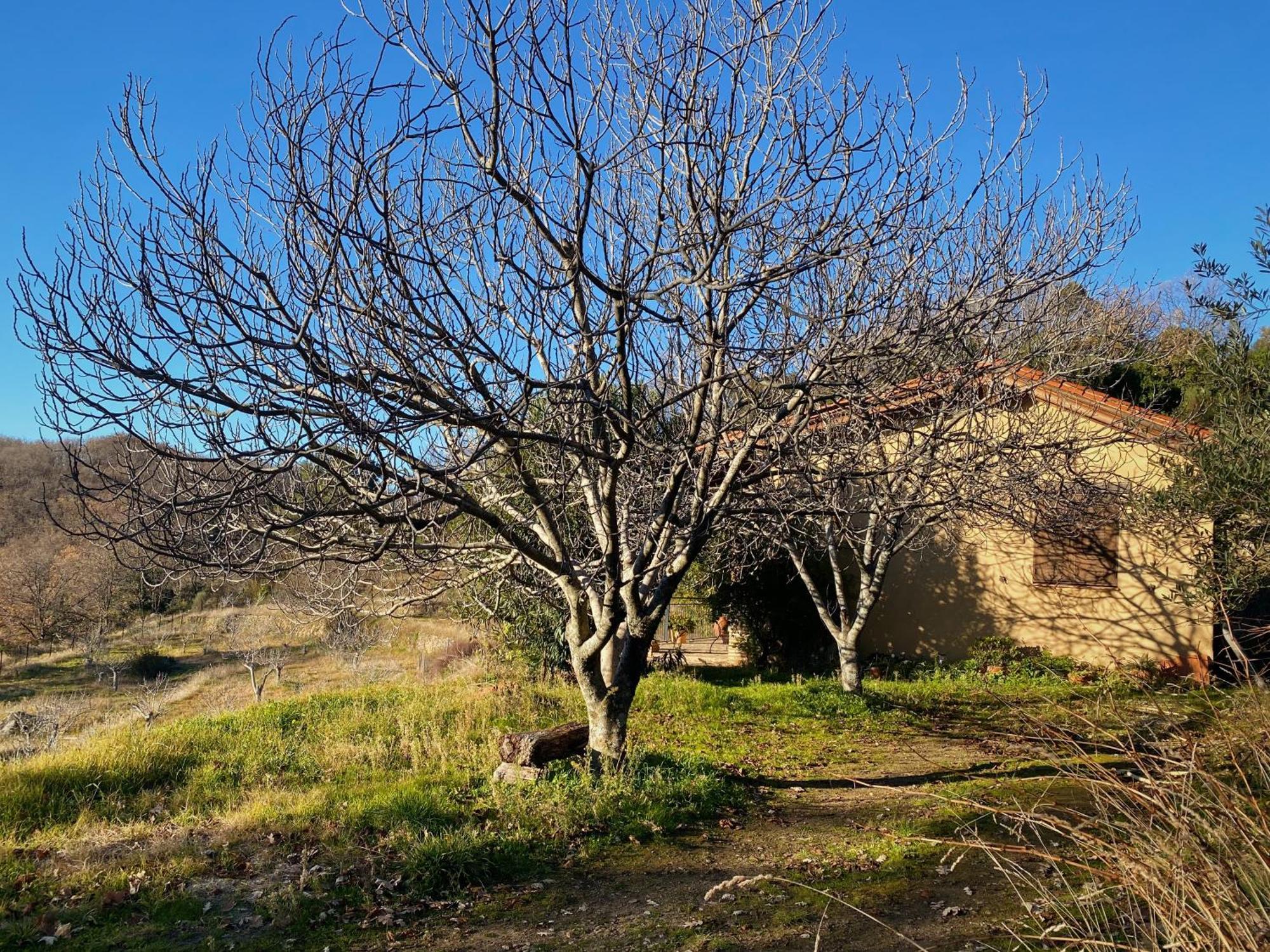 Vergel San Pedro Torremenga Esterno foto