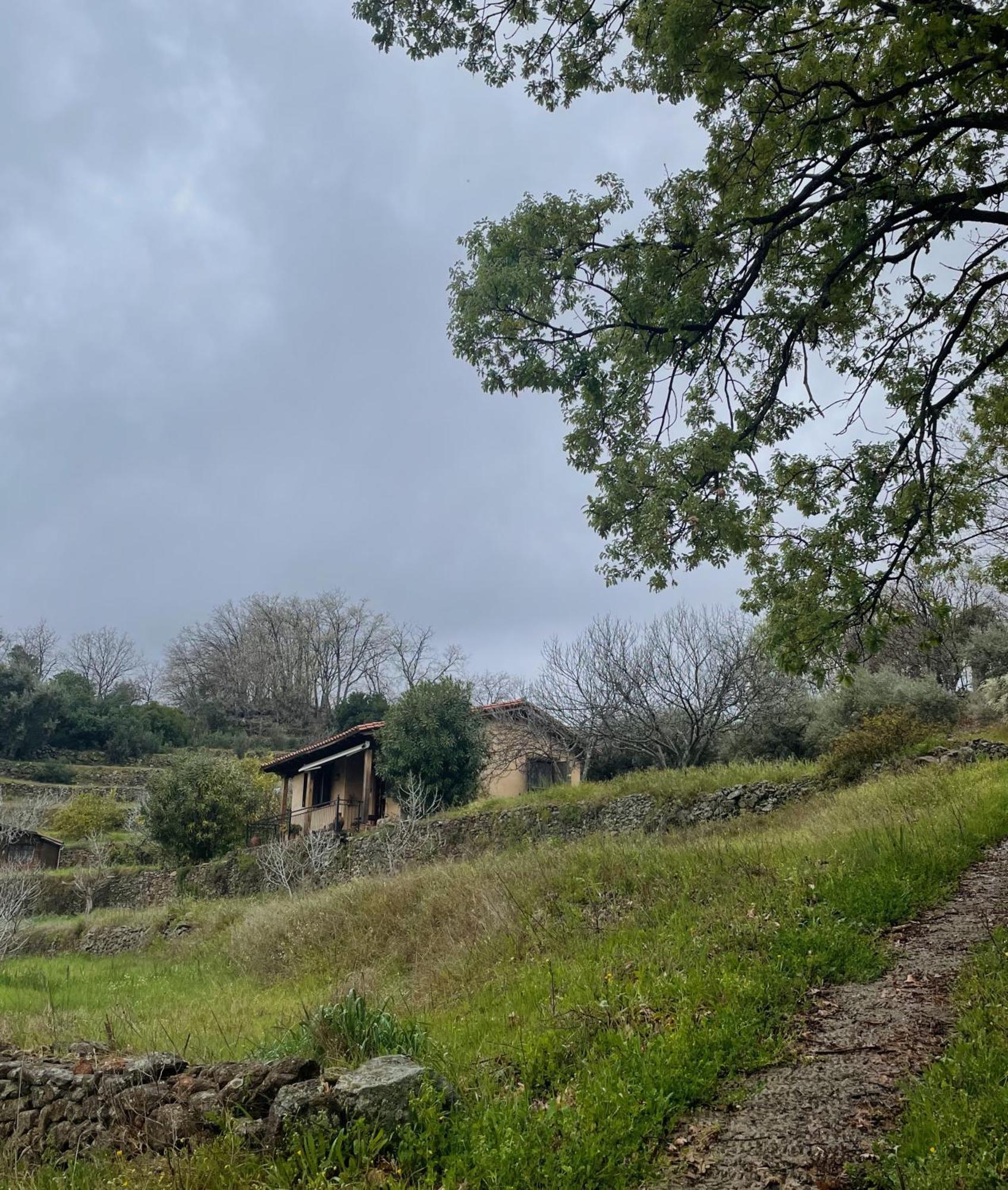 Vergel San Pedro Torremenga Esterno foto